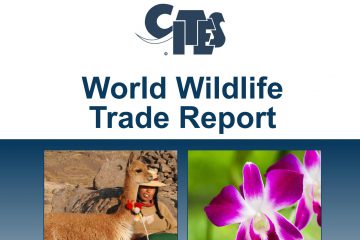 1669098111 微信截图 20221122142139 《世界野生动植物贸易报告》发布