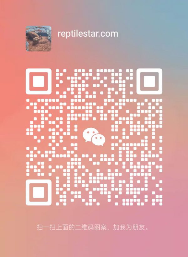 ReptileStar | We Hunt High Quality Reptile Data